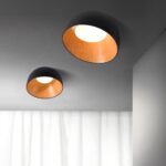 Barkley 35 • DL290523D - Image 4