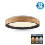 Marty 30 - LED Ceiling Light 12w 3color
